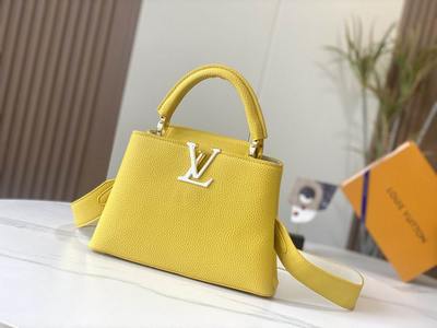 LV Handbags 738